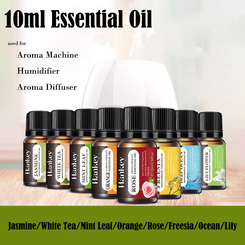 10ml reines ätherisches Öl Luf – Candle Making Oil Scents Bewertung und Preis