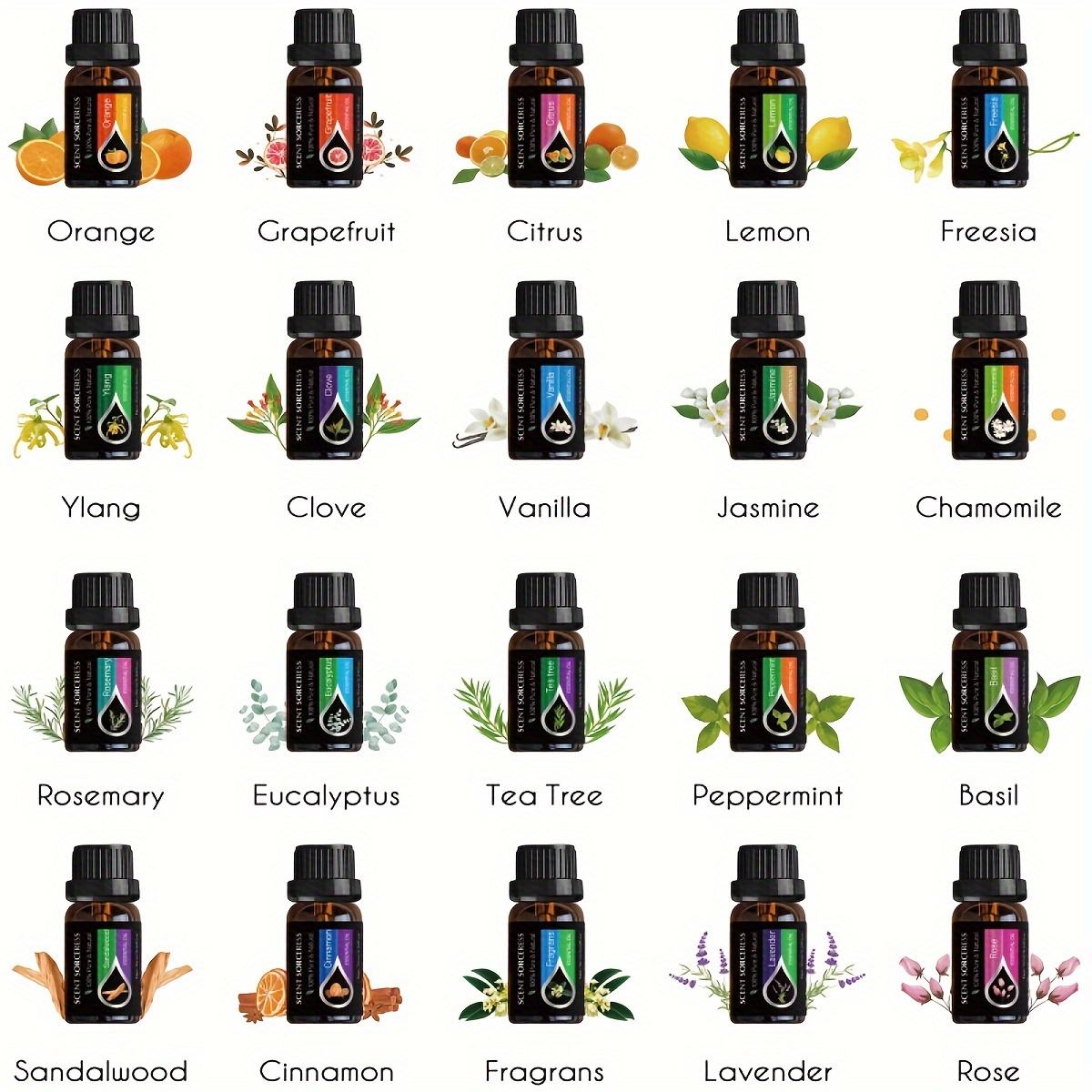 20-teiliges Set Klassisches Ma – Candle Making Oils Bewertung und Preis